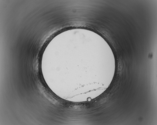 X0000116330584200912221422