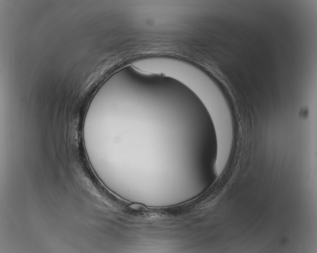 X0000116330585200912221422