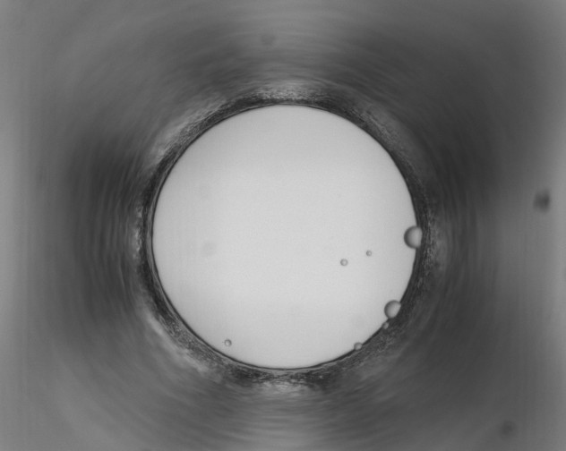 X0000116330586200912221422