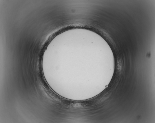 X0000116330588200912221422