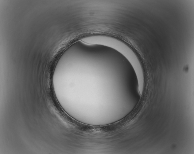 X0000116330589200912221421