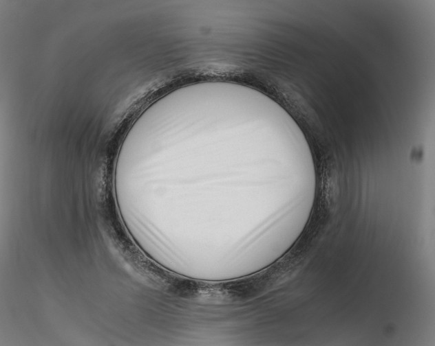 X0000116330591200912221421