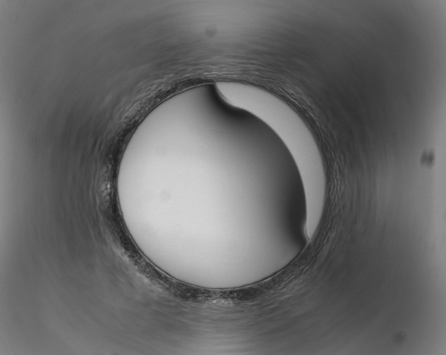 X0000116330593200912221421