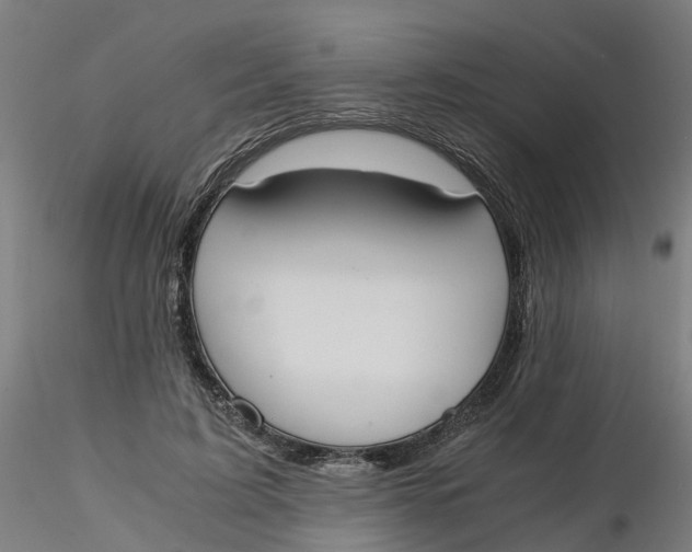 X0000116330595200912221421