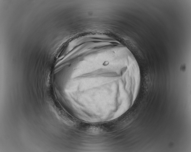 X0000116330596200912221421