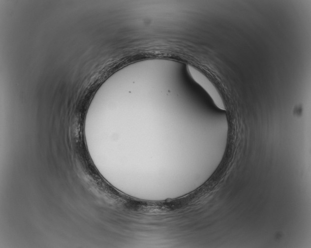 X0000116330597200912221421