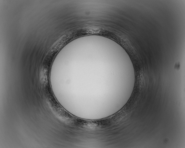 X0000116330598200912221421