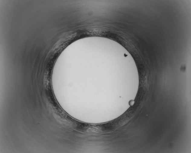 X0000116330599200912221421