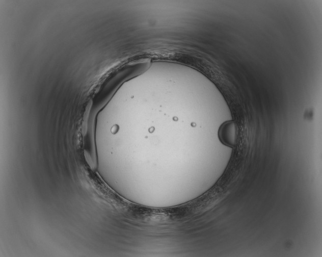 X0000116330600200912221421