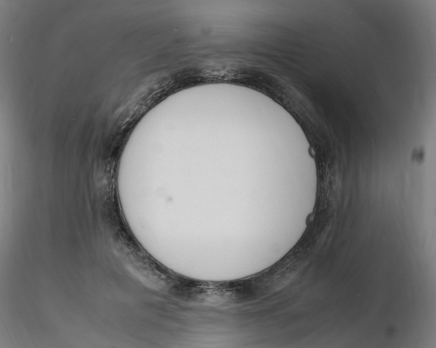 X0000116330601200912221421