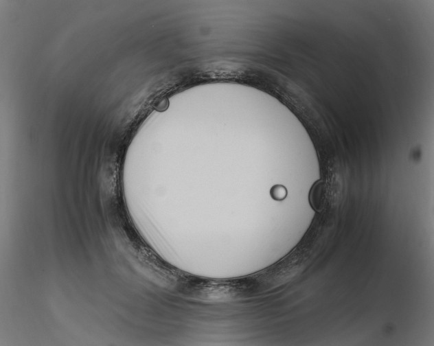 X0000116330604200912221421