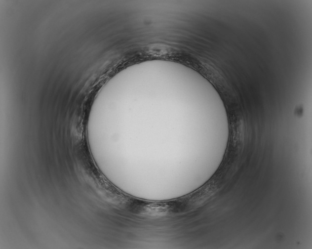 X0000116330606200912221421