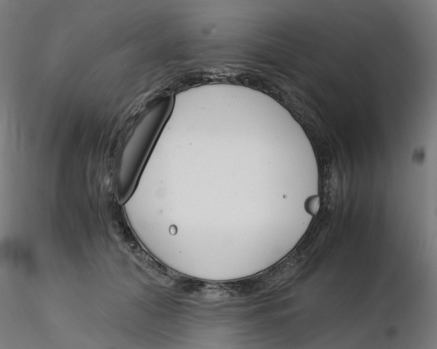 X0000116330608200912221421