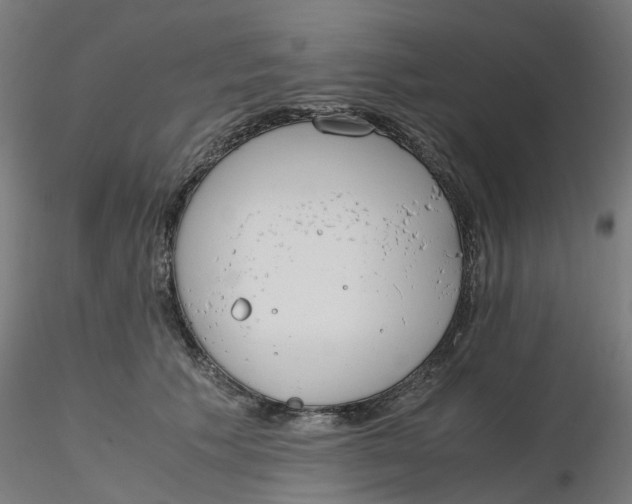 X0000116330609200912221421