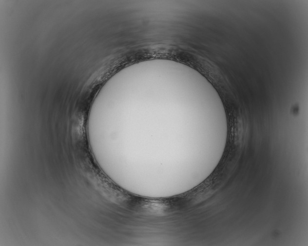 X0000116330610200912221421