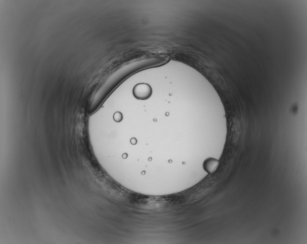 X0000116330612200912221421