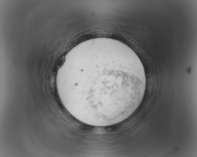 X0000116330613200912221421