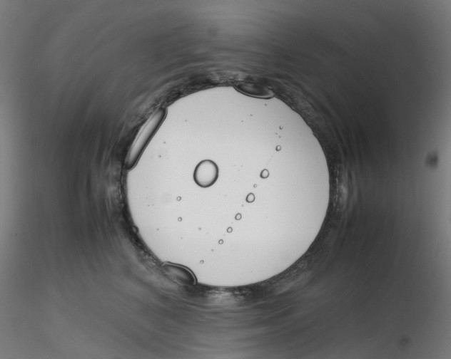 X0000116330616200912221421