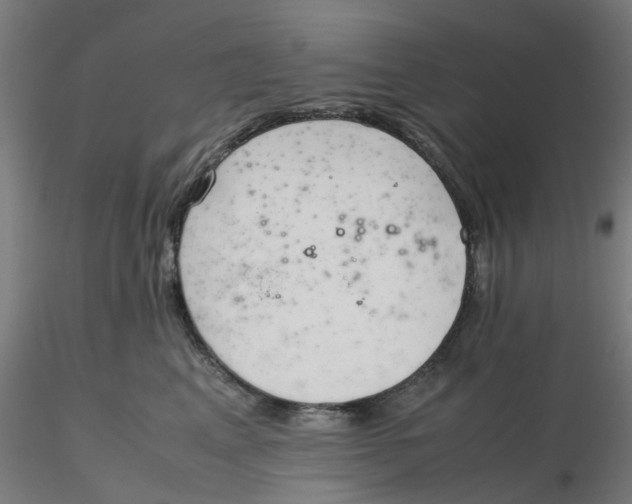 X0000116330617200912221421