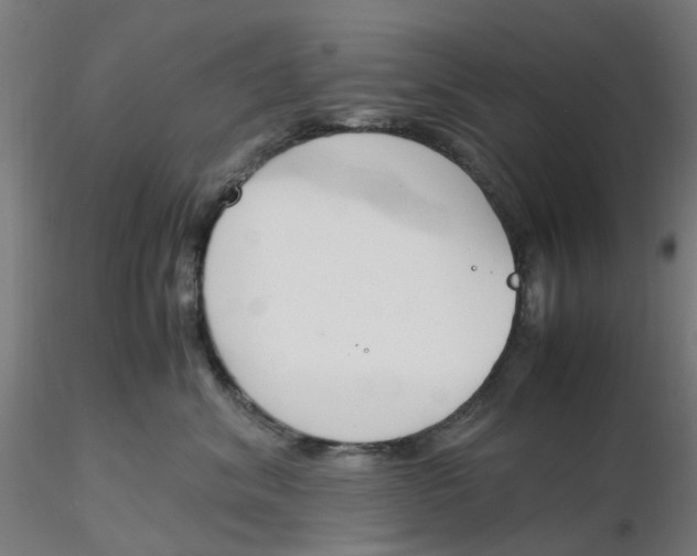 X0000116330620200912221421