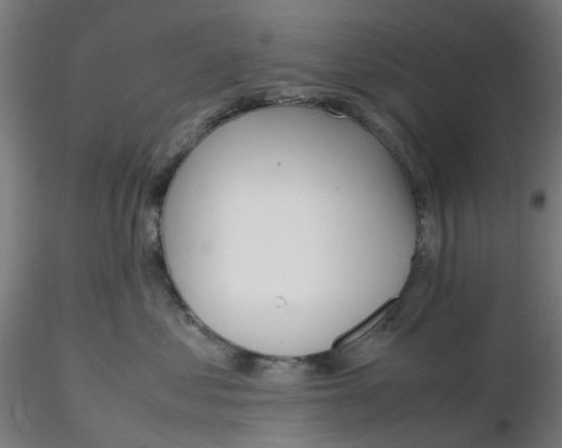 X0000116330621200912221421