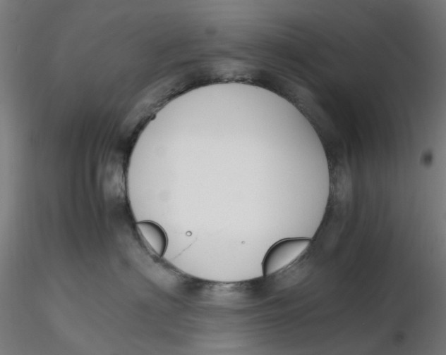 X0000116330622200912221421