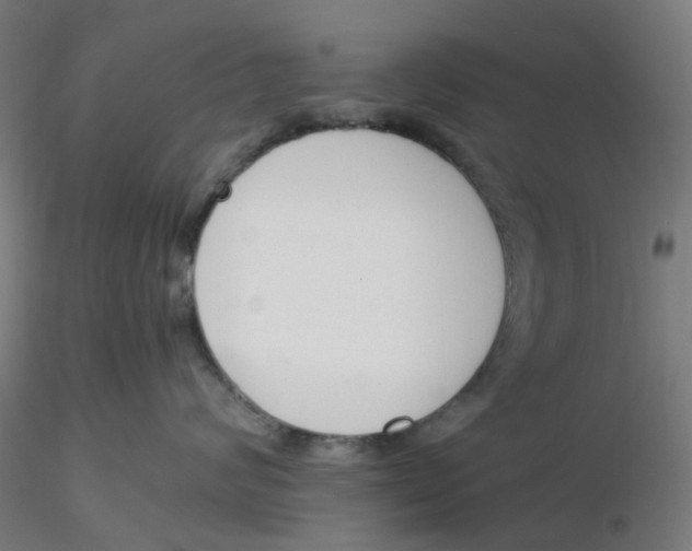 X0000116330624200912221421