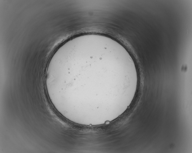 X0000116330625200912221420