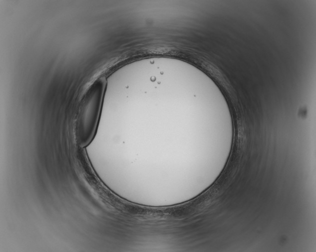 X0000116330626200912221420