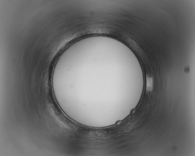 X0000116330627200912221420