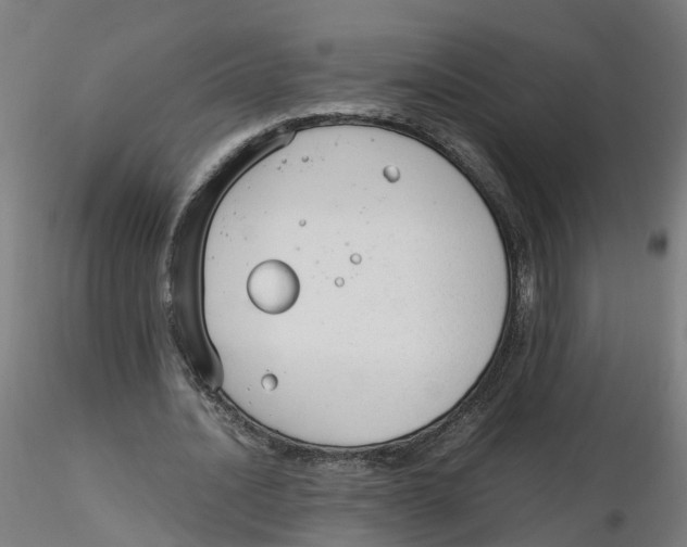 X0000116330628200912221420