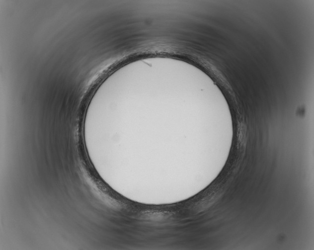 X0000116330629200912221420