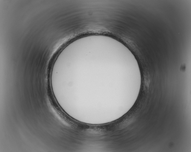 X0000116330630200912221420