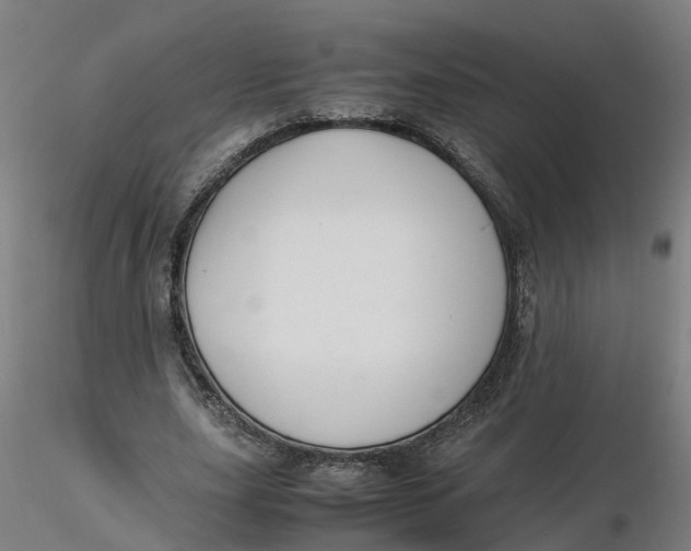 X0000116330631200912221420