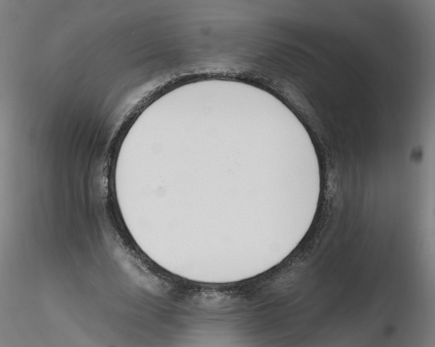 X0000116330632200912221420