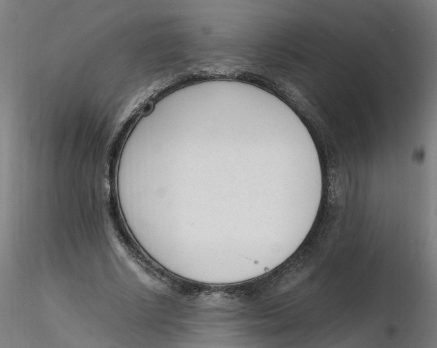 X0000116330634200912221420