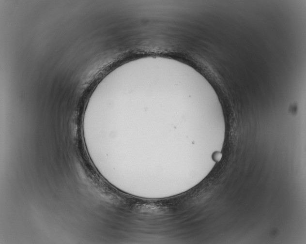 X0000116330635200912221421