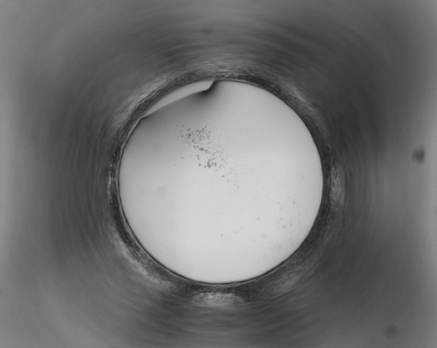 X0000116330637200912221421