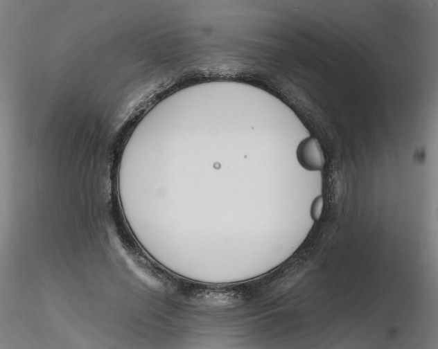 X0000116330638200912221421