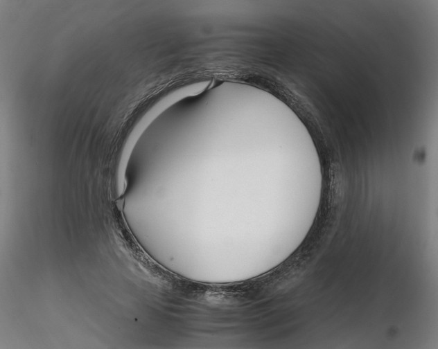 X0000116330641200912221421