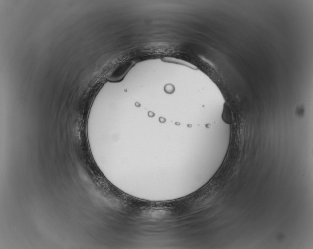 X0000116330643200912221421