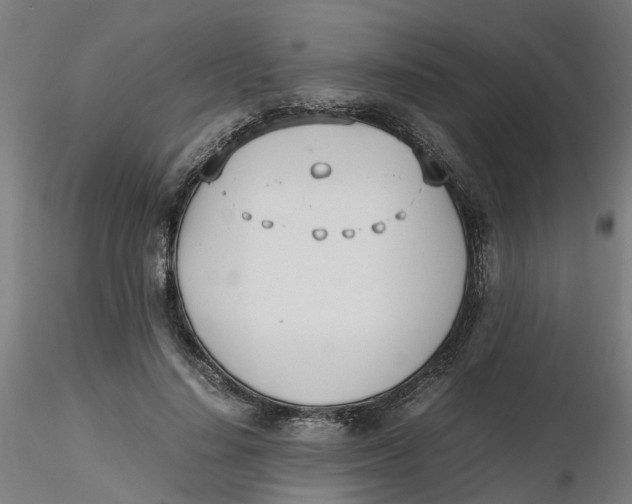 X0000116330644200912221421