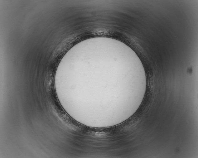 X0000116330645200912221421