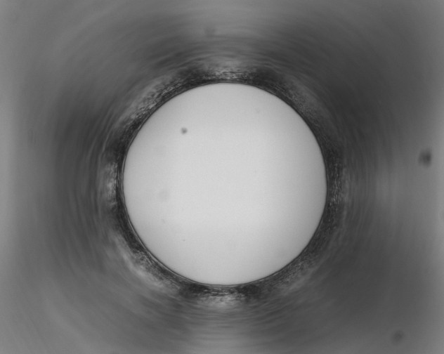 X0000116330646200912221421