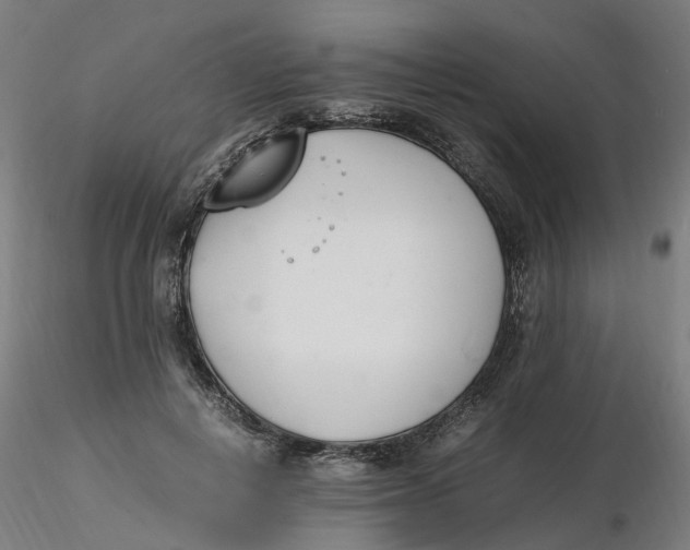 X0000116330648200912221421