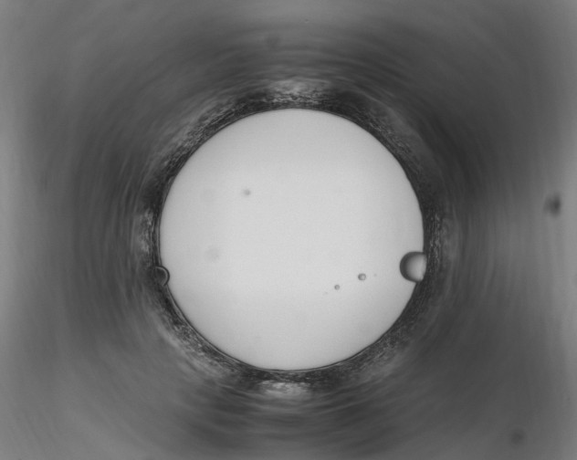 X0000116330649200912221421