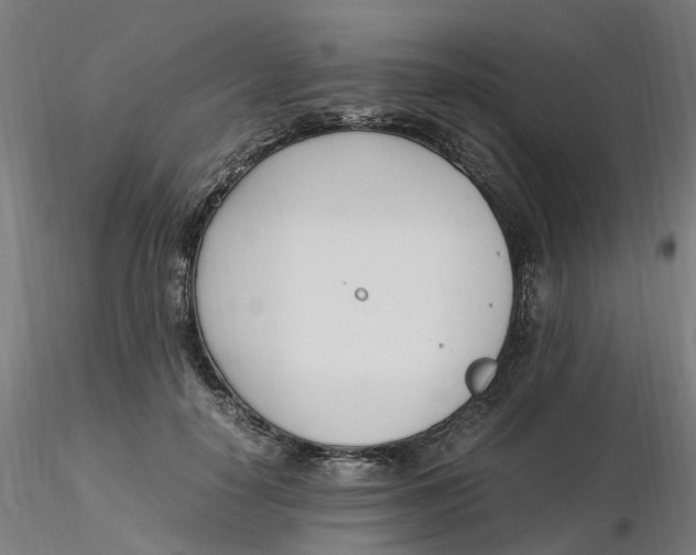 X0000116330650200912221421