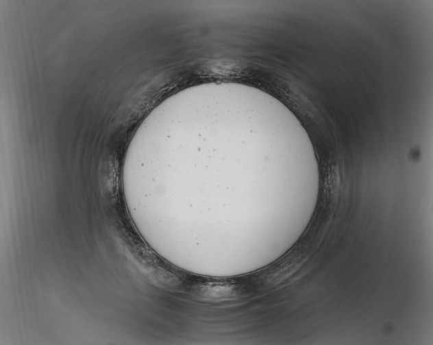 X0000116330651200912221421