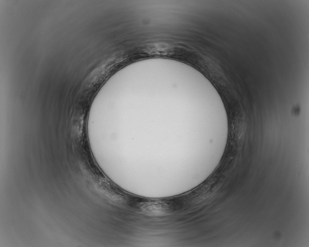 X0000116330652200912221421