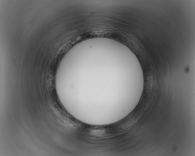 X0000116330653200912221421